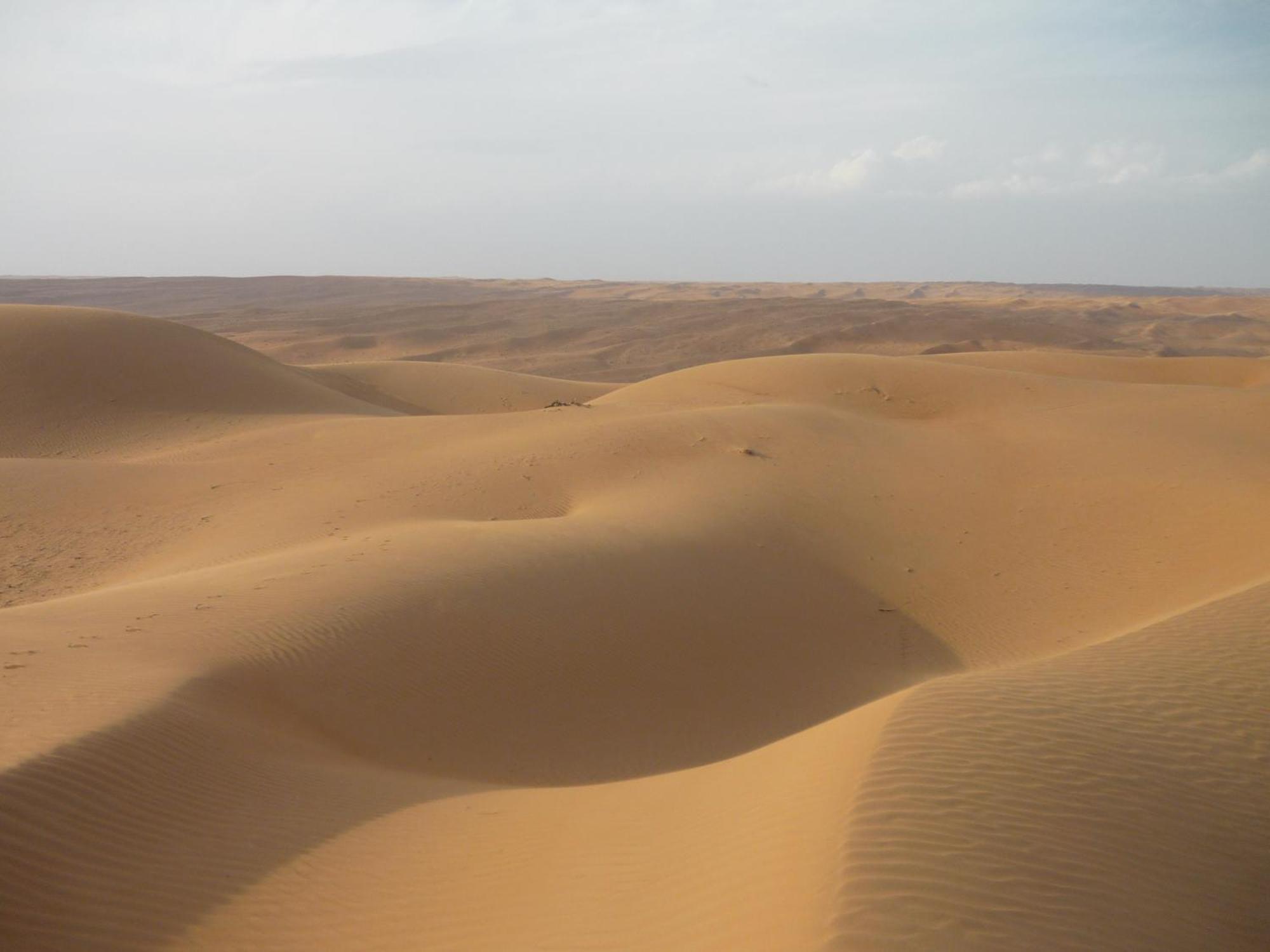 Desert Retreat Camp Al Wāşil Екстериор снимка
